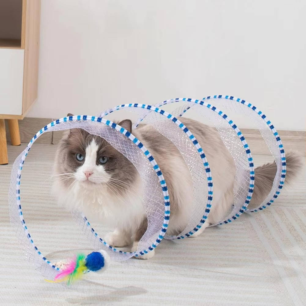 Cat Hunting Interactive Toy Set