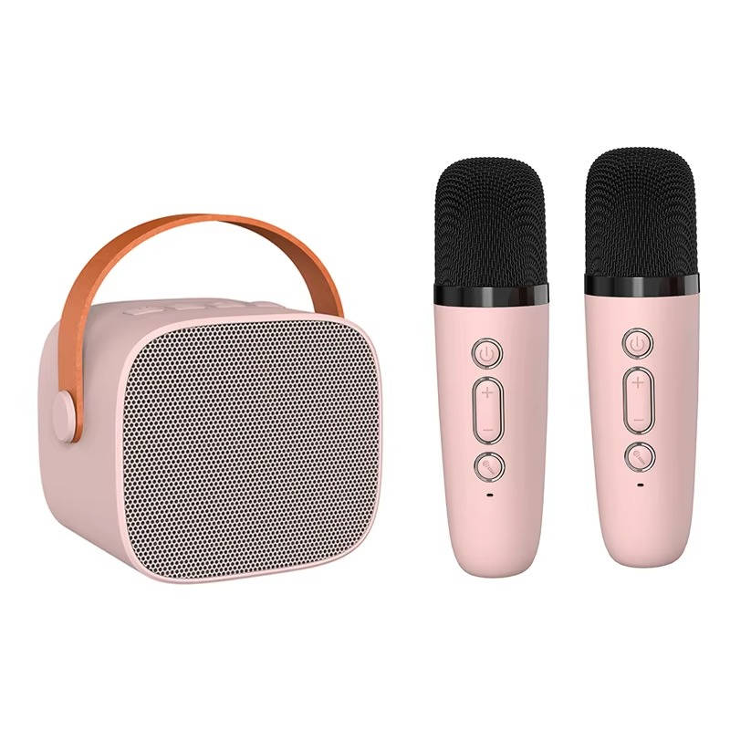 Mini Karaoke Machine with 2 Wireless Mics