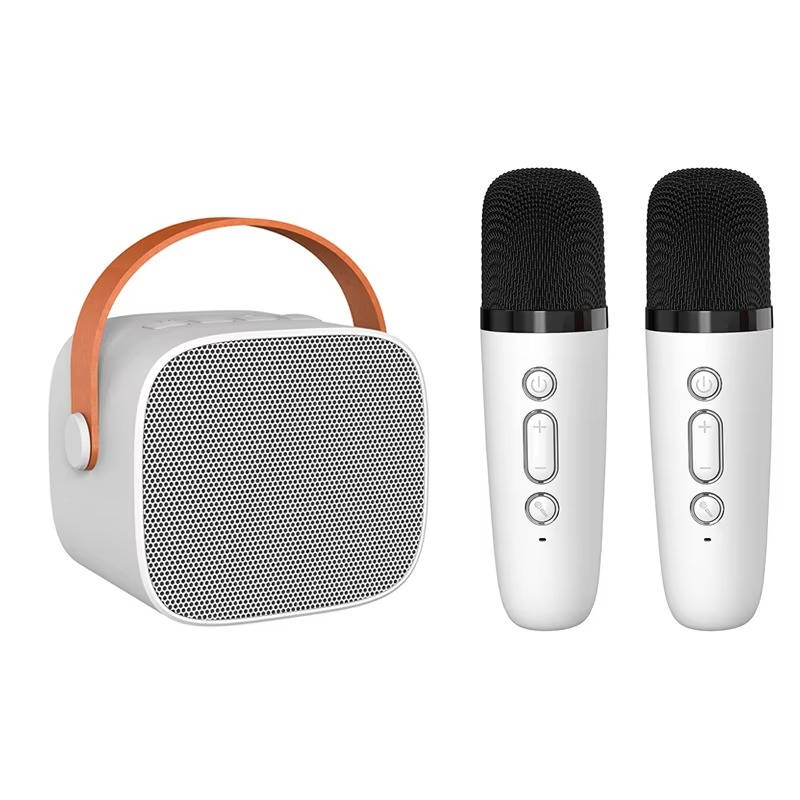 Mini Karaoke Machine with 2 Wireless Mics