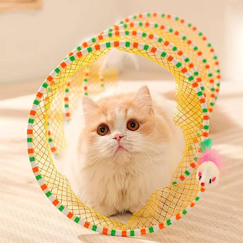 Cat Hunting Interactive Toy Set
