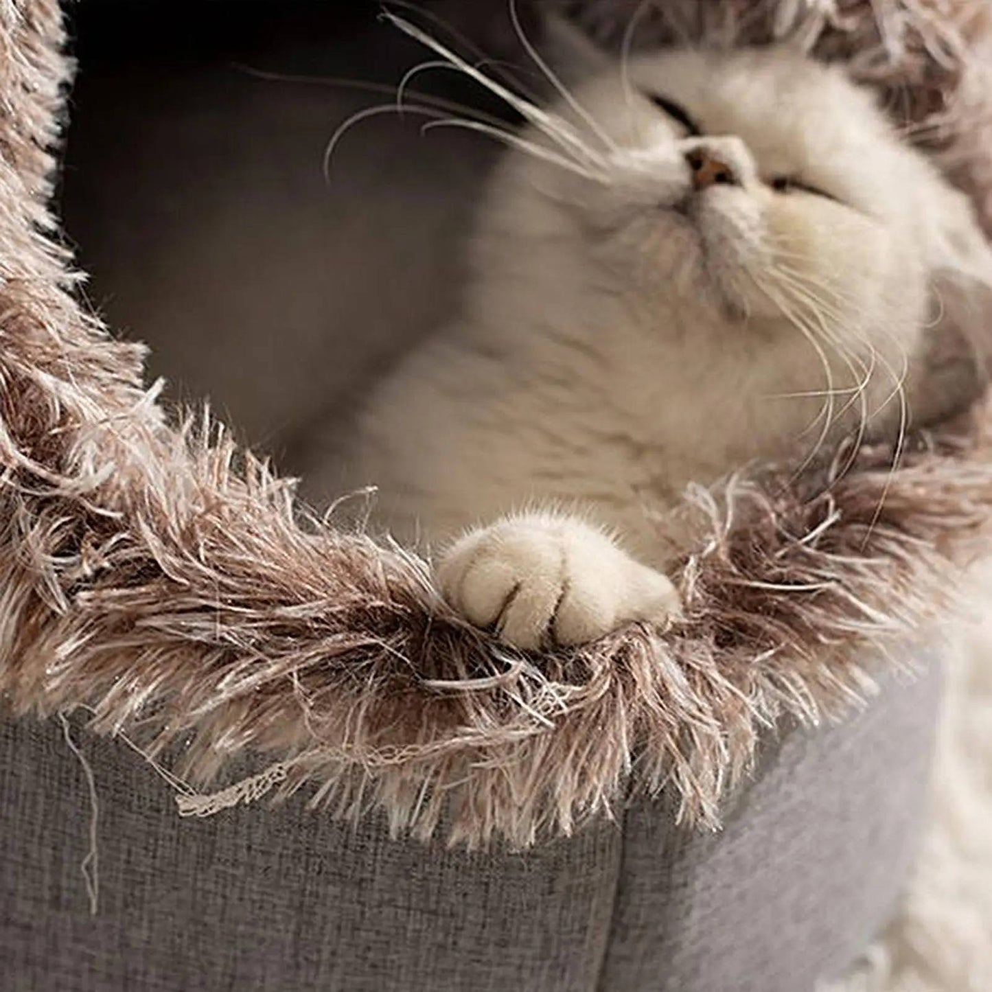 Cozy Plush Winter Cat Bed