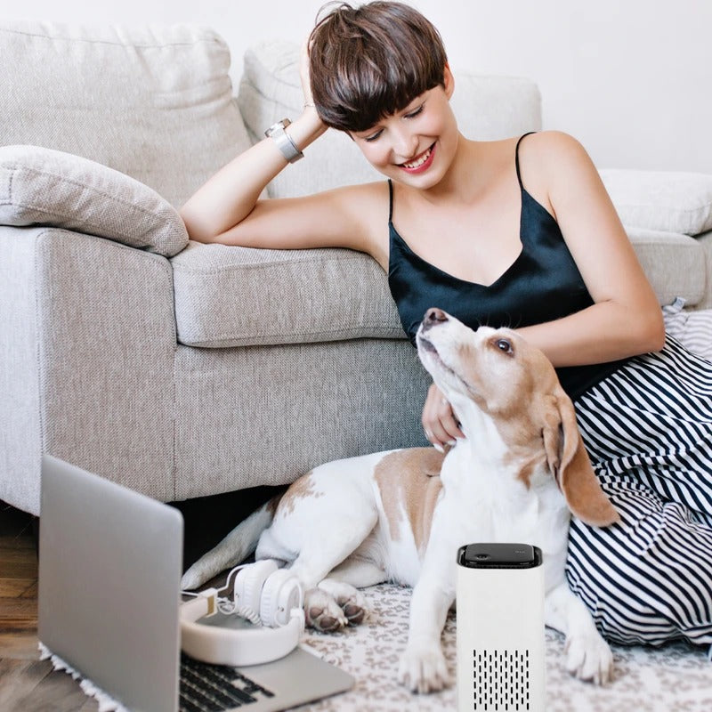 Pet Air Purifier with HEPA Filter