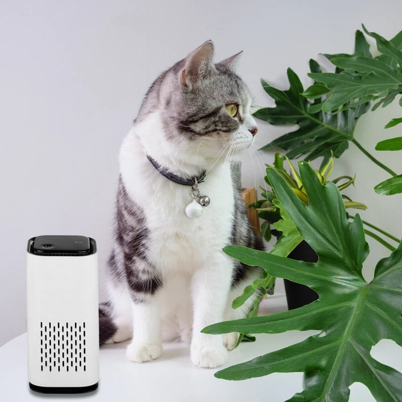 Pet Air Purifier with HEPA Filter