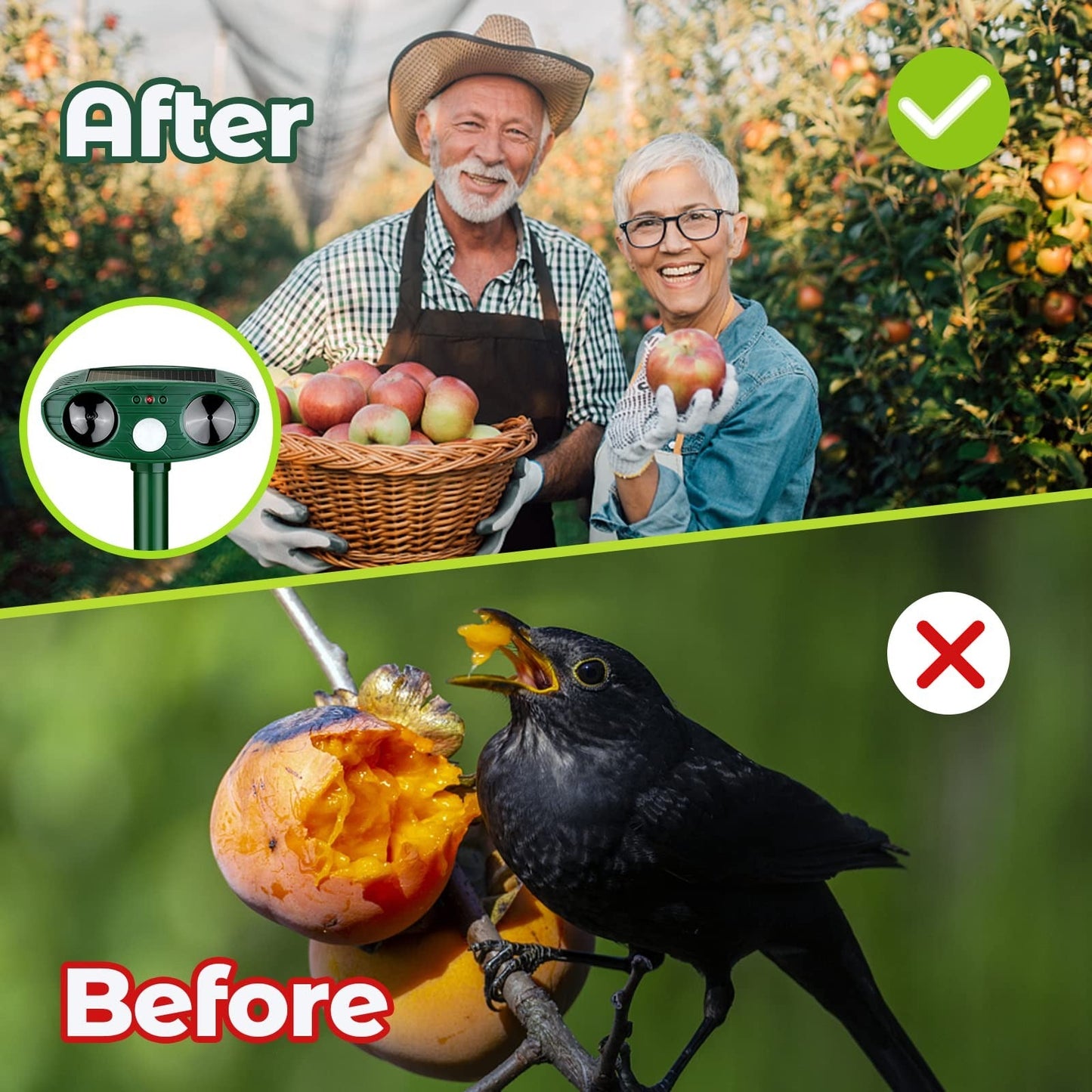 Ultrasonic Solar Woodpecker Repellent